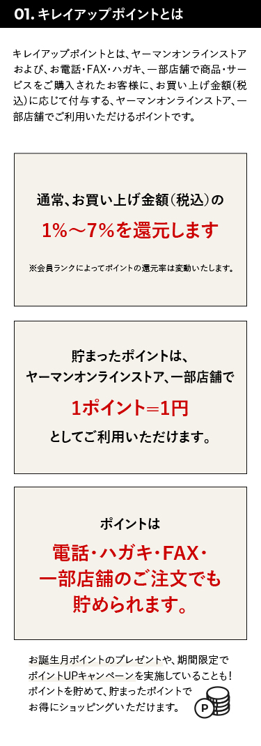 キレイアップポイントとは