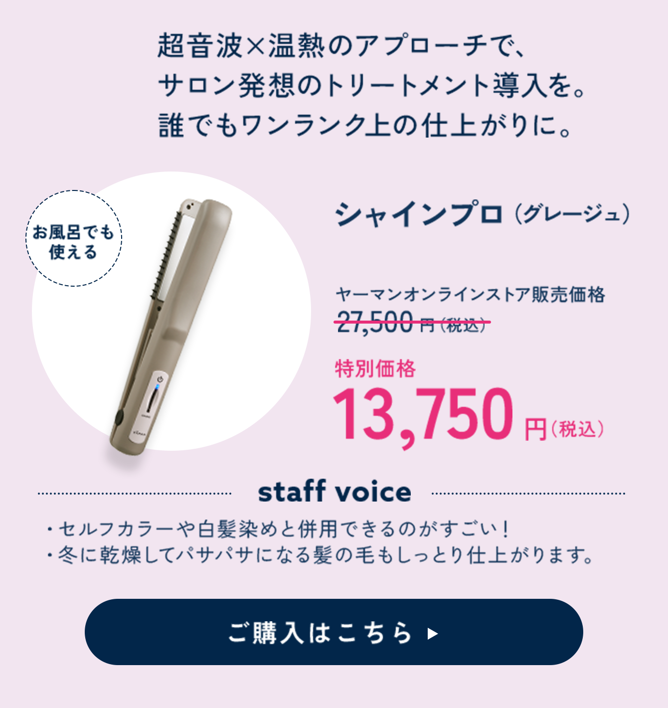 シャインプロ（グレージュ） 特別価格 13,750円（税込）