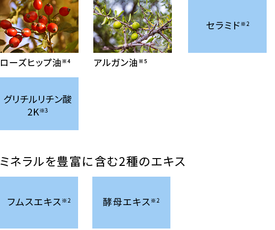 スキンケア成分配合