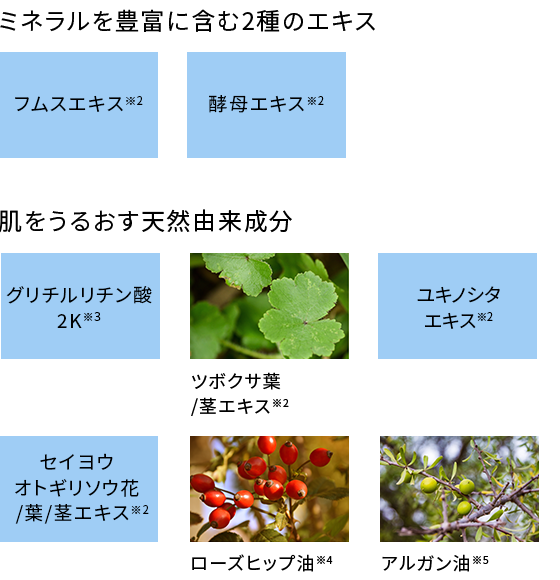 スキンケア成分