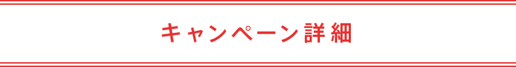 キャンペーン詳細
