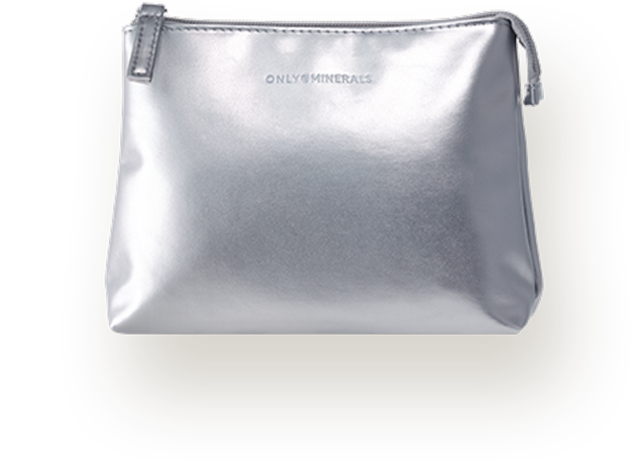 シルバーポーチ【非売品】