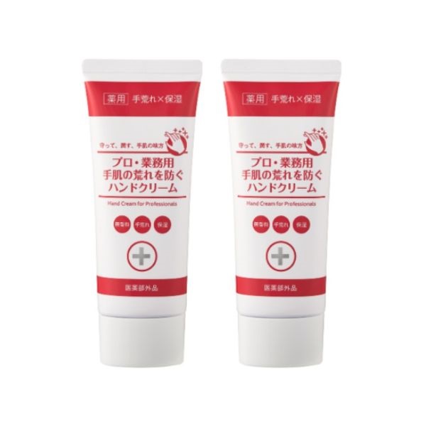 10%OFF】プロ・業務用 手肌の荒れを防ぐハンドクリームN 2本セット
