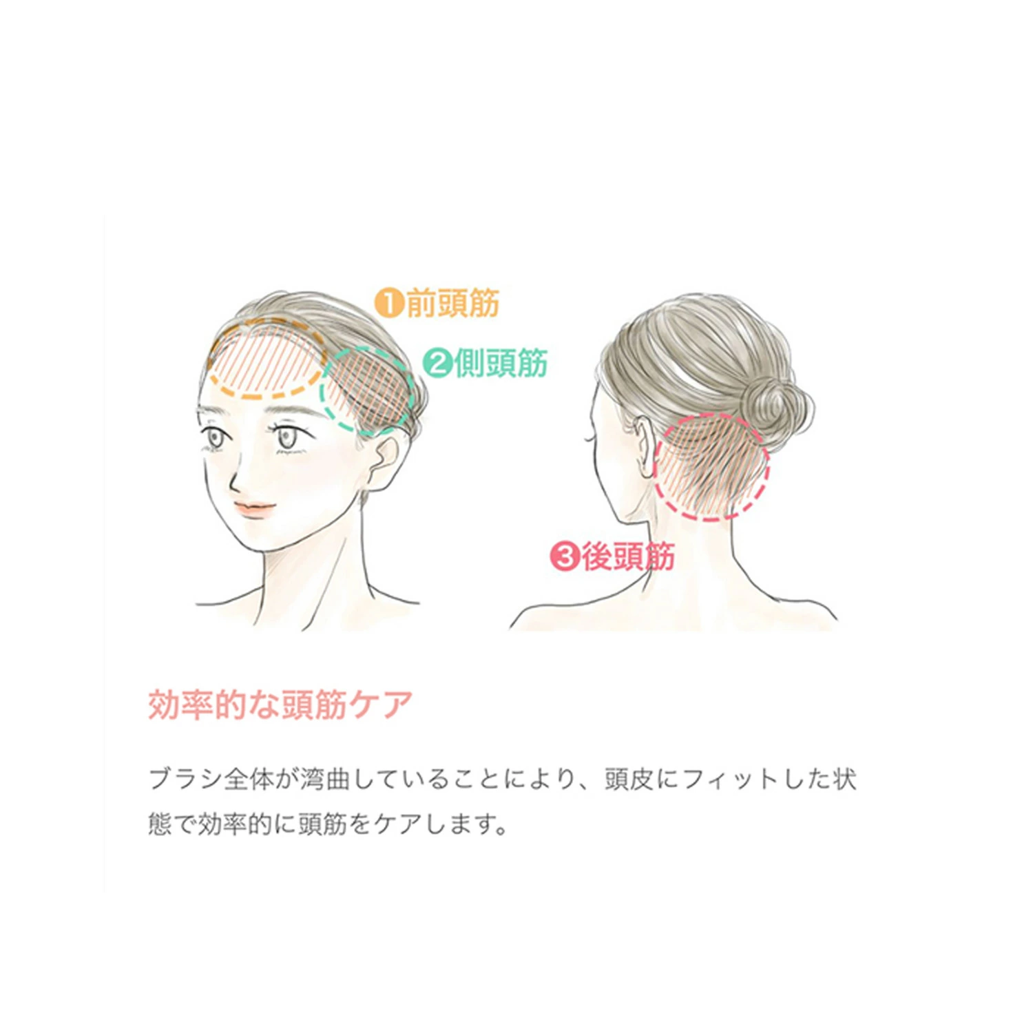 お取引先様ご優待対象】ミーゼ ニードルリフトブラシ｜ヤーマン