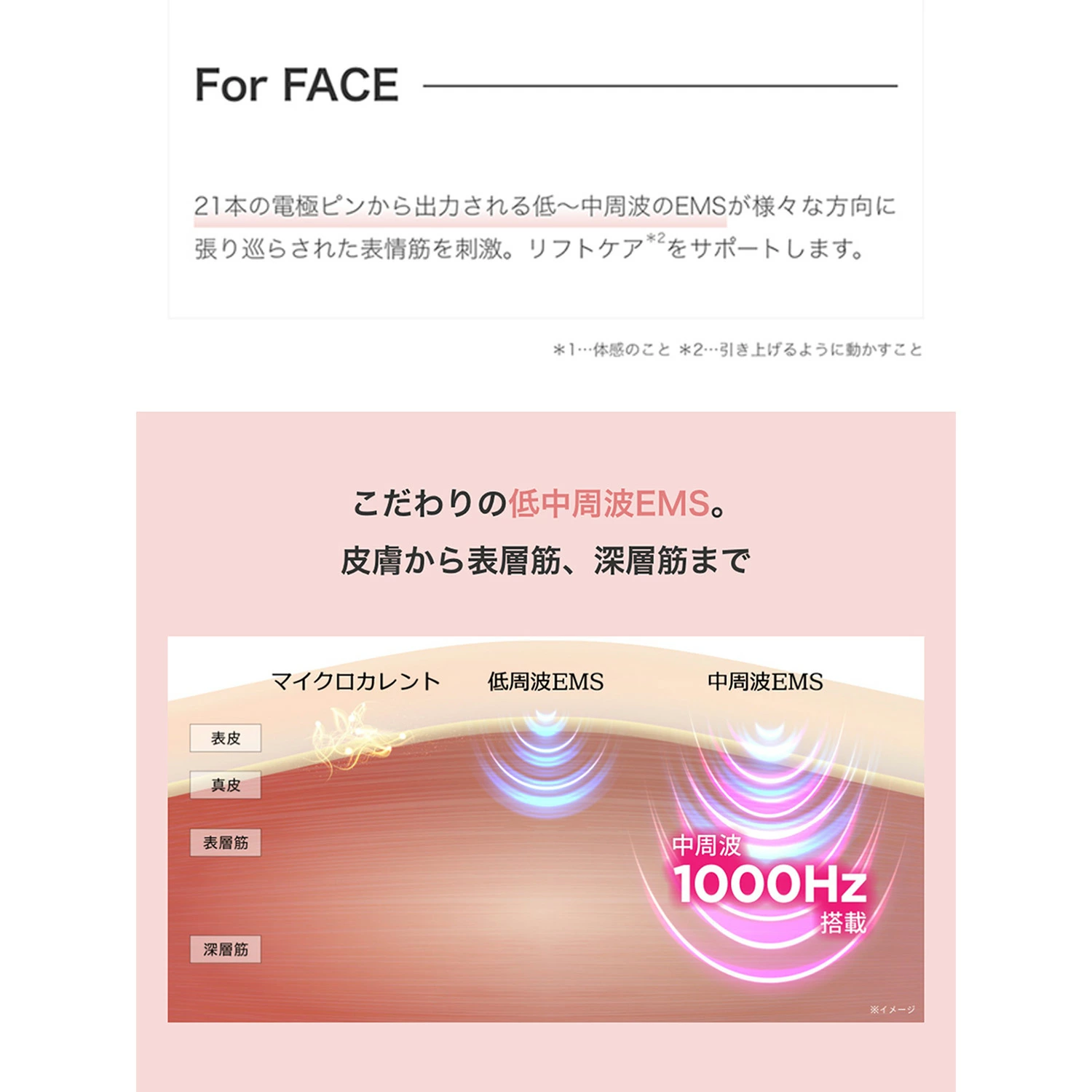 ✿みーページ✿ Amazon.co.jp: ミドリ 色紙 カラー色紙 両開き リボン 桜柄