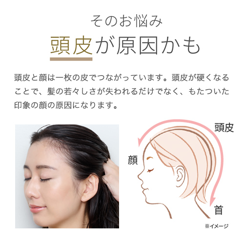 2025母の日】ミーゼ ニードルヘッドスパリフト アクティブ（プレゼント