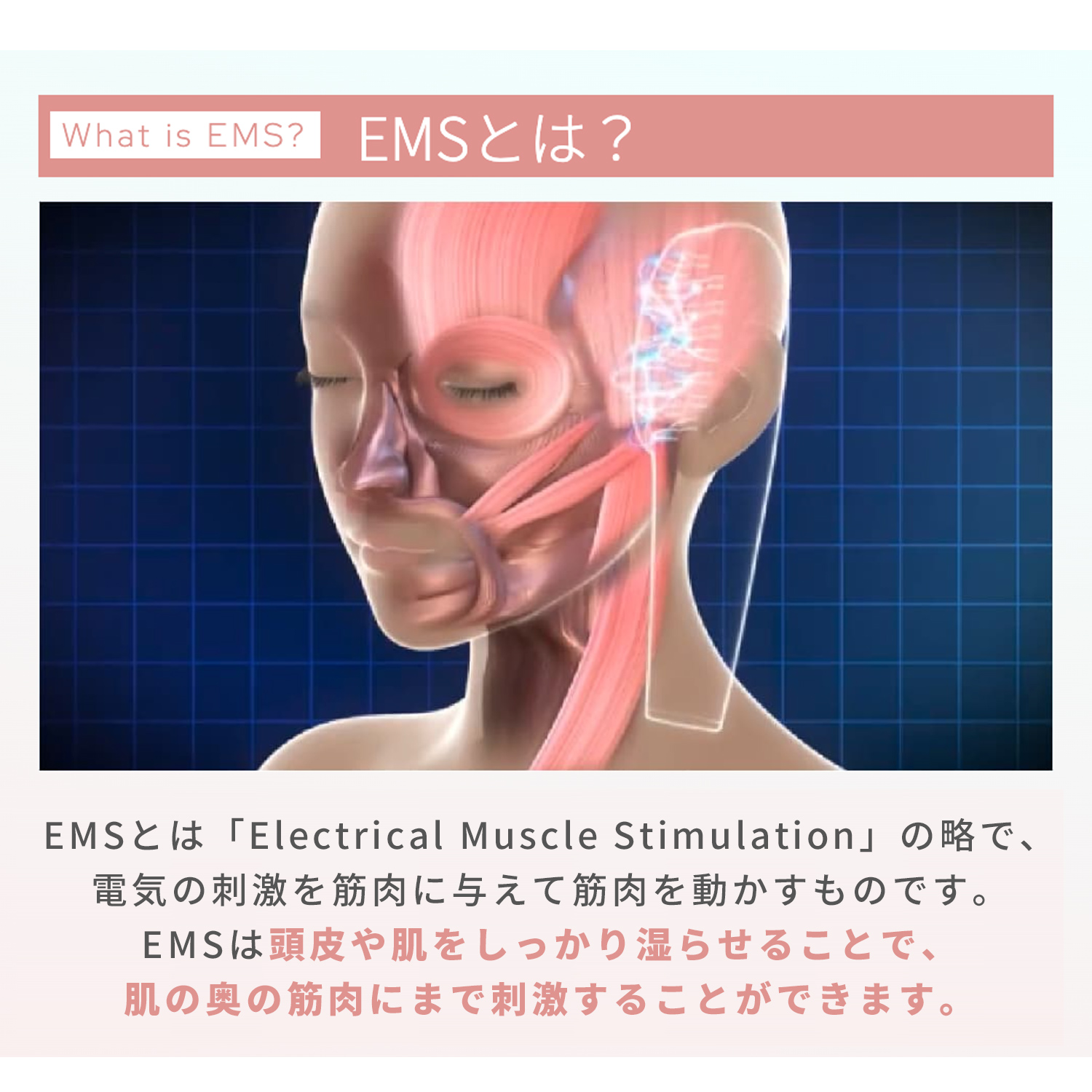 ミーゼ スカルプリフト プラス｜ヤーマン公式通販サイト | ヤーマン