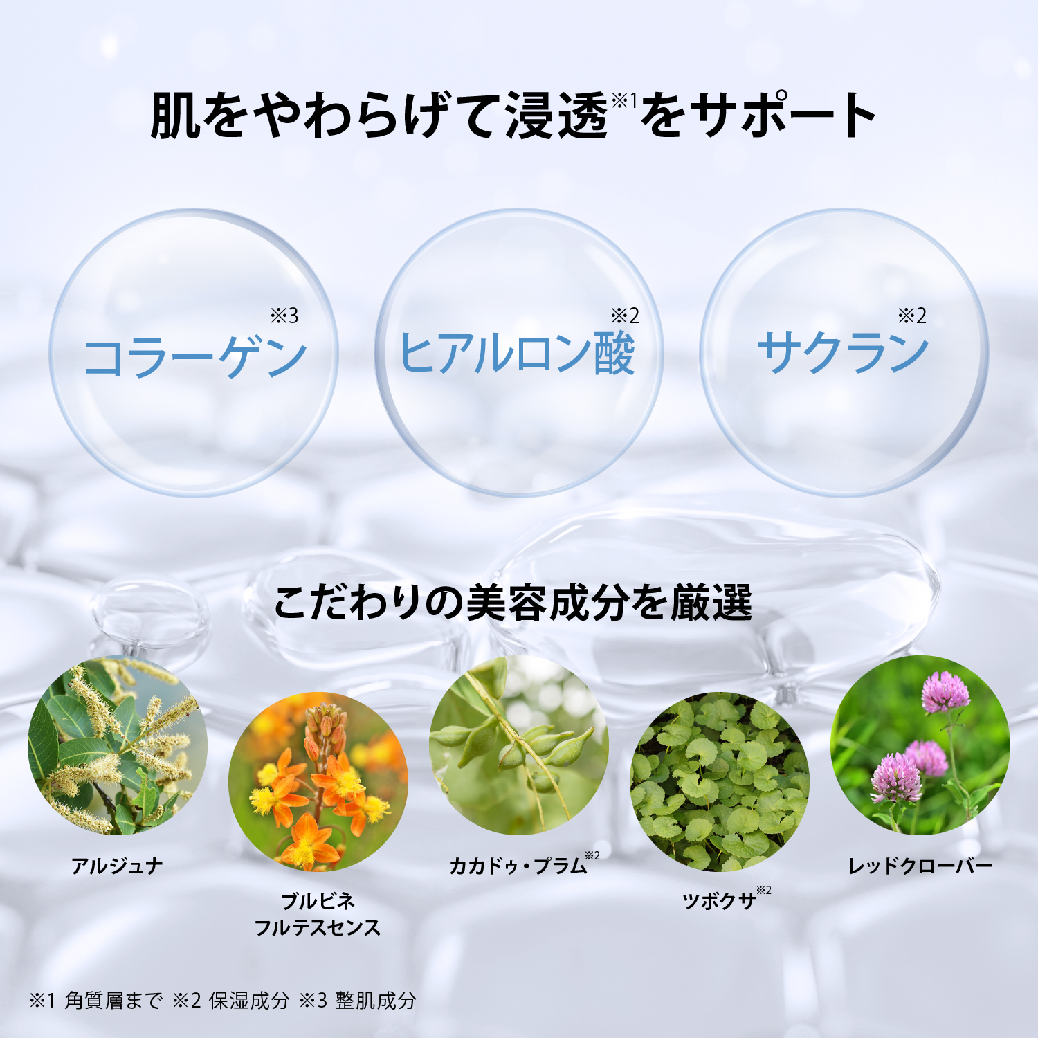 福袋2026【30％OFF】ニードルコスメスキンケア＆化粧下地 福袋セット