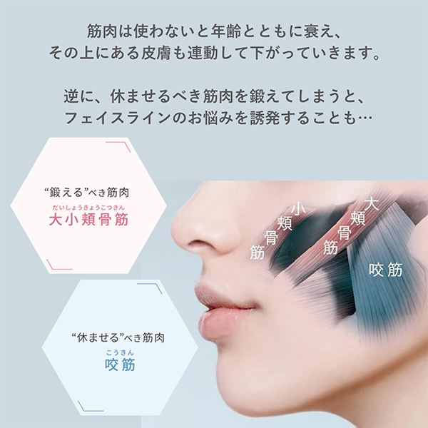 福袋2026 【約22％OFF】メディリフトセット｜ヤーマン公式通販サイト