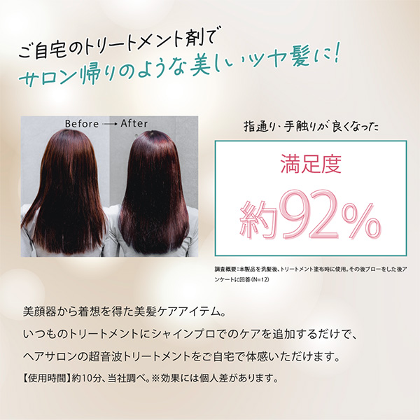 シャインプロ＆ディープモイスト リペアトリートメント パウチ
