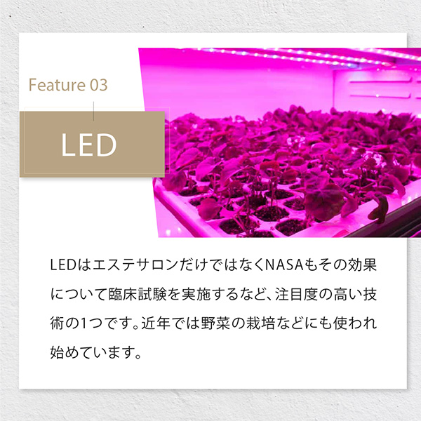 シャインプロ＆ディープモイスト リペアトリートメント パウチ