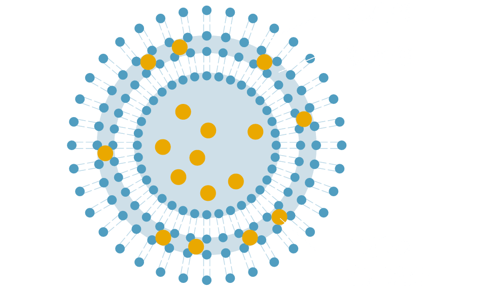 リッチペネトレートカプセル