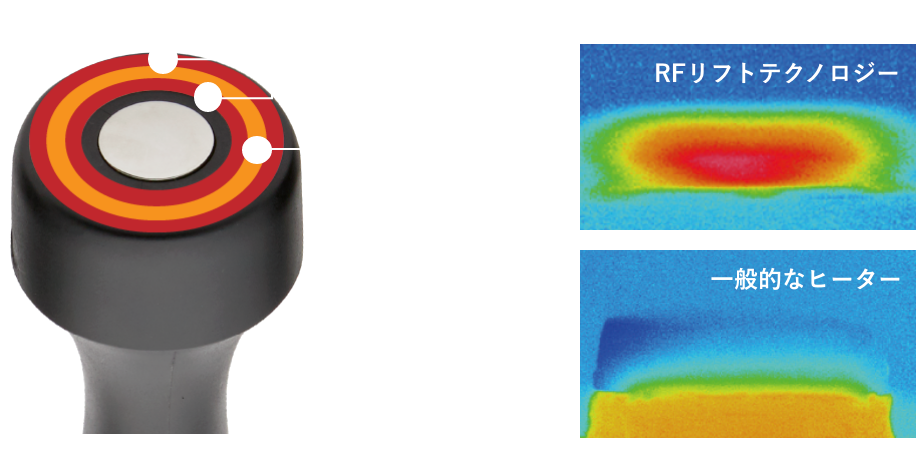 寒天での実験