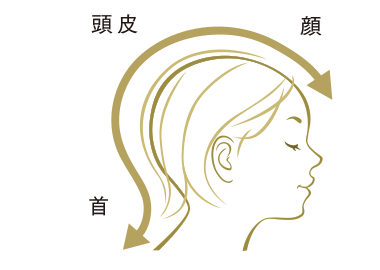 頭皮からあげる