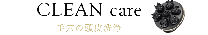 Clean care 毛穴の頭皮洗浄