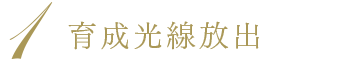 育成光線放出