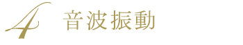 音波洗浄