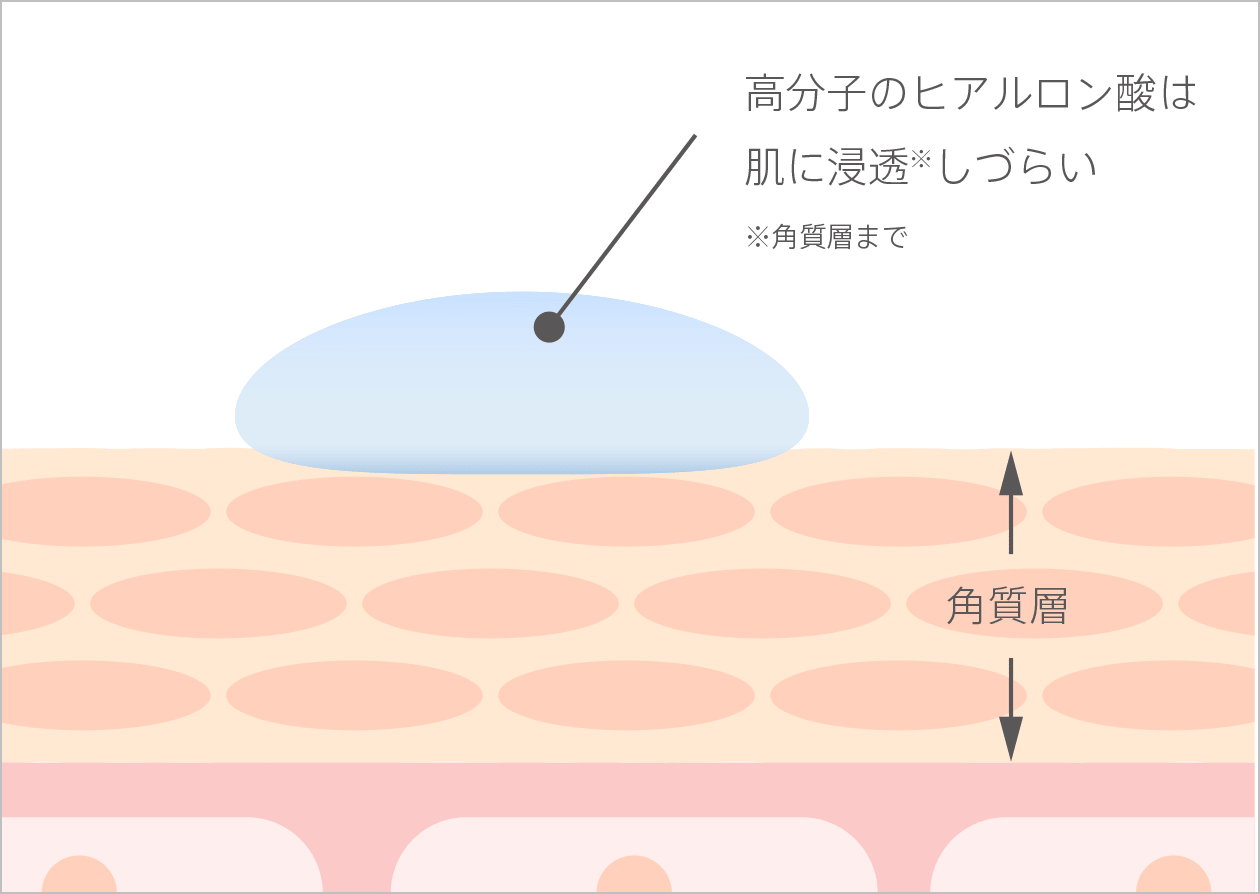 高分子のヒアルロン酸は肌に浸透※しづらい ※角質層まで