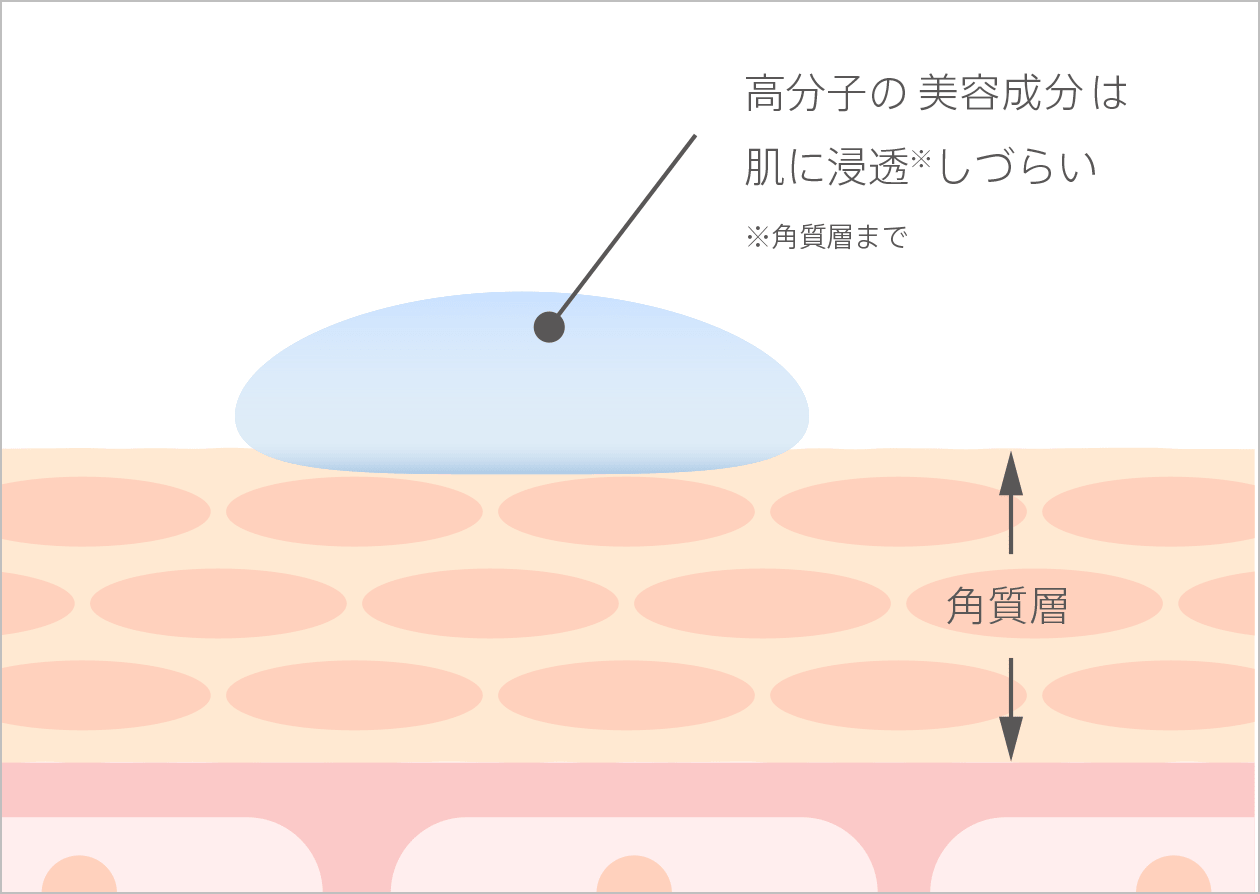 高分子のヒアルロン酸は肌に浸透※しづらい ※角質層まで