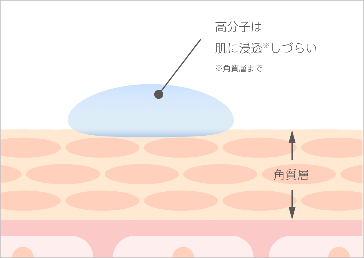 高分子のヒアルロン酸は肌に浸透※しづらい ※角質層まで