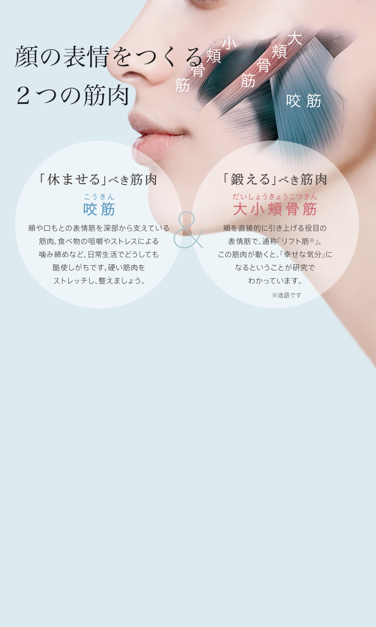顔の表情をつくる2つの表情筋 大小頬骨筋(リフト筋※)/咬筋