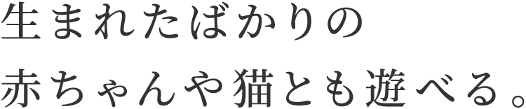 生まれたばかりの赤ちゃんや猫とも遊べる。タつかずにサラサラ。すぐに料理ができる！