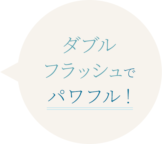ダブルフラッシュでパワフル