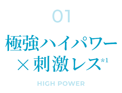 極強ハイパワー