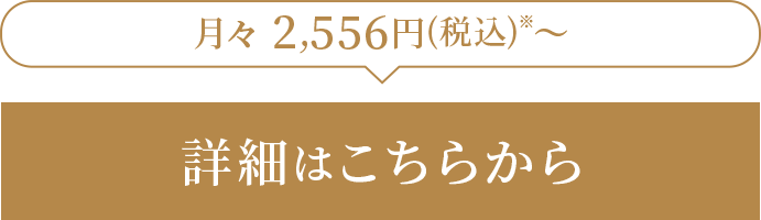 楽天市場で購入