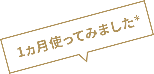１カ月使ってみました。