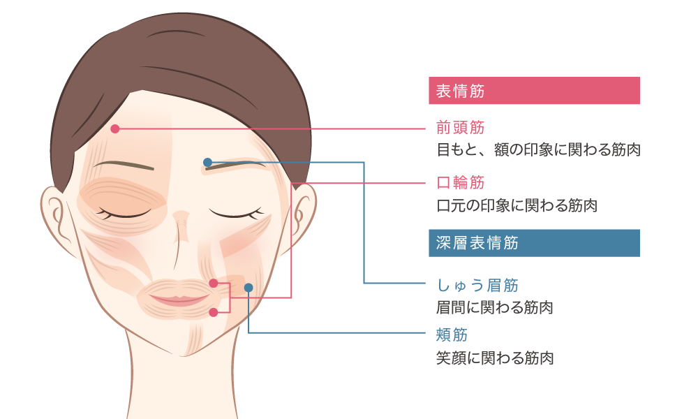 Rf美顔器 フォトプラスシリーズ 累計0万台突破の美顔器 ヤーマン公式通販サイト
