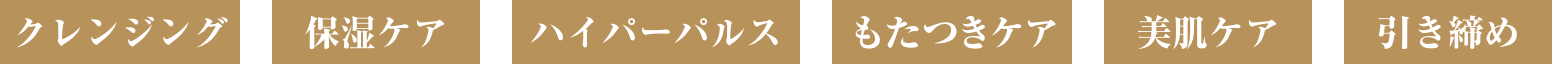 クレンジング 保湿ケア ハイパーパルス 表情筋ケア 美肌ケア 引き締め