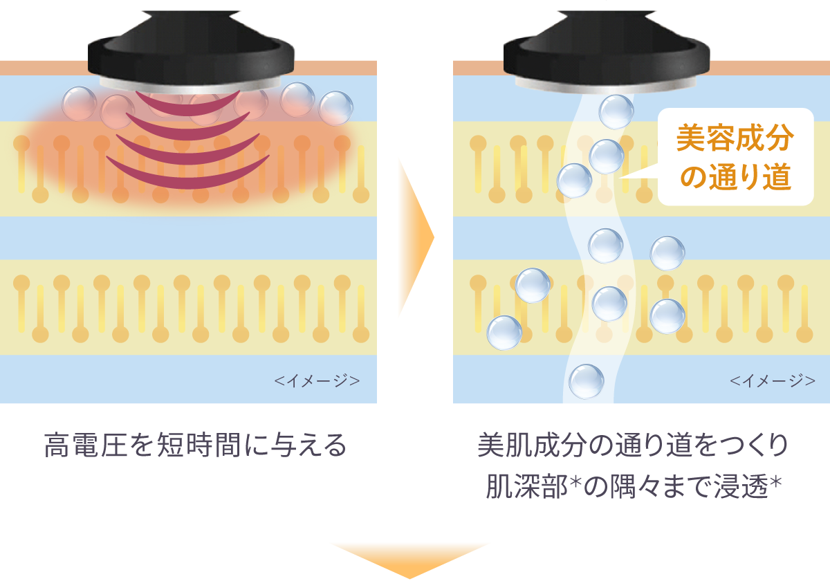 （DYHPによる浸透イメージ図）高電圧を短時間に与える→（美容成分の通り道イメージ図）美肌成分の通り道をつくり肌深部＊の隅々まで浸透