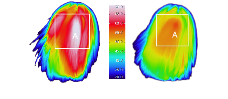 comparison