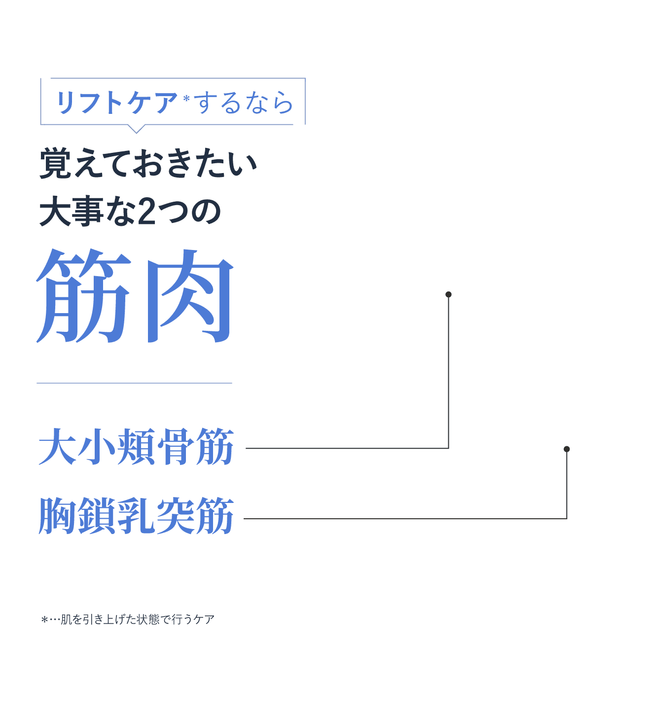 リフトケアするなら覚えておきたい大事な2つの筋肉