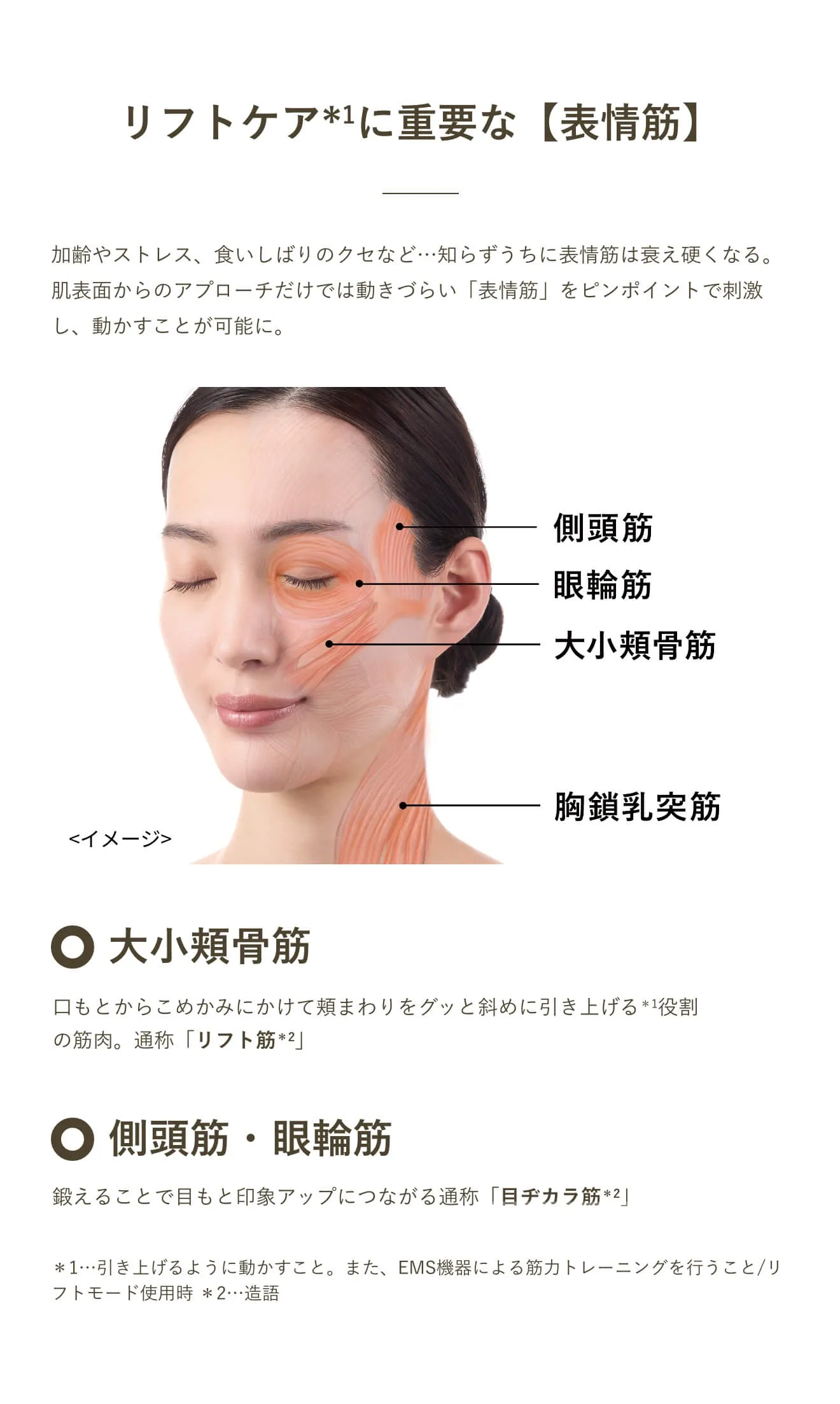 リフトケアに重要な表情筋