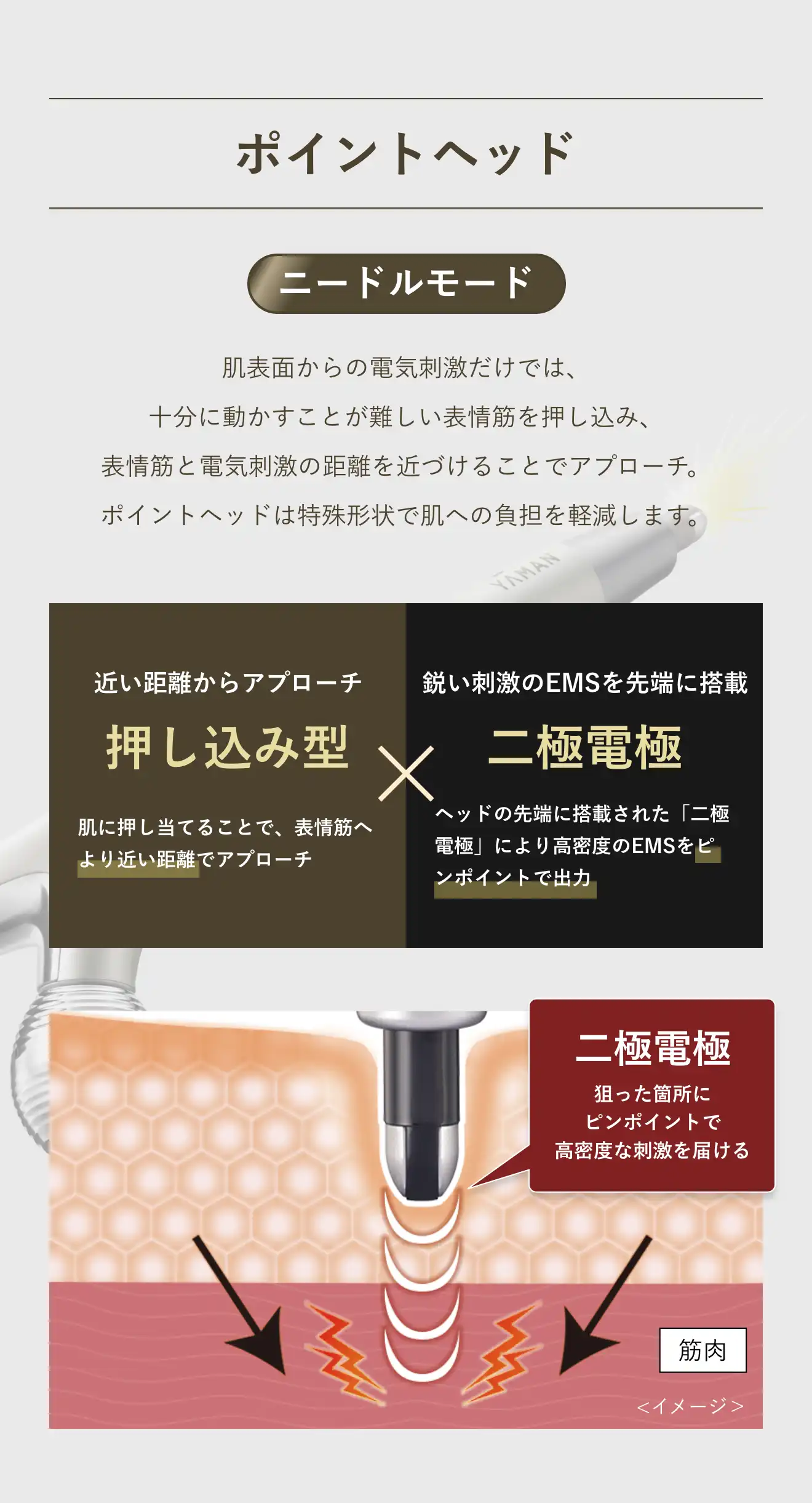 ポイントヘッド