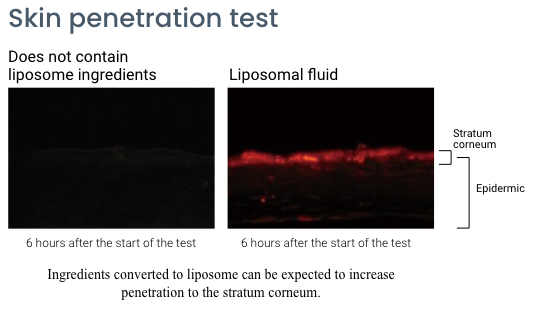 Skin penetration test results