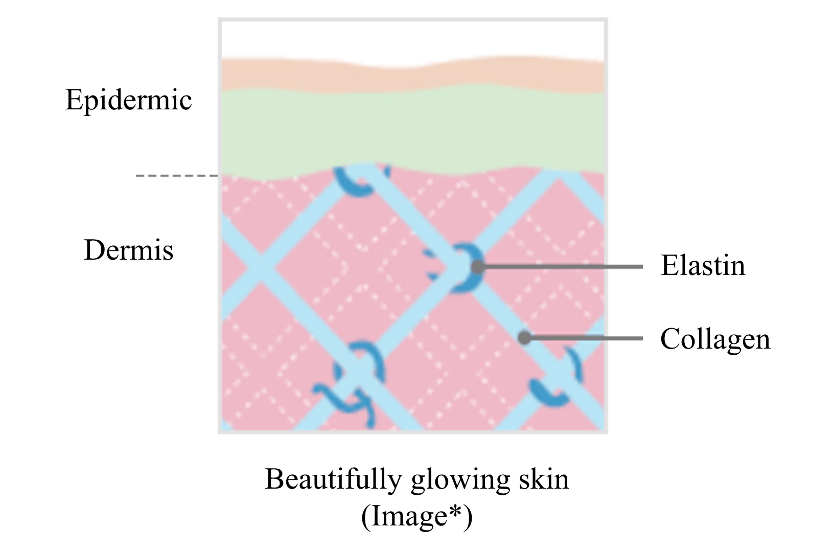 Skin Lifting Care Image