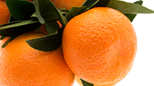 Citrus Nobilis (Mandarin Orange) Peel Extract