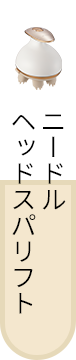 ニードルヘッドスパリフト