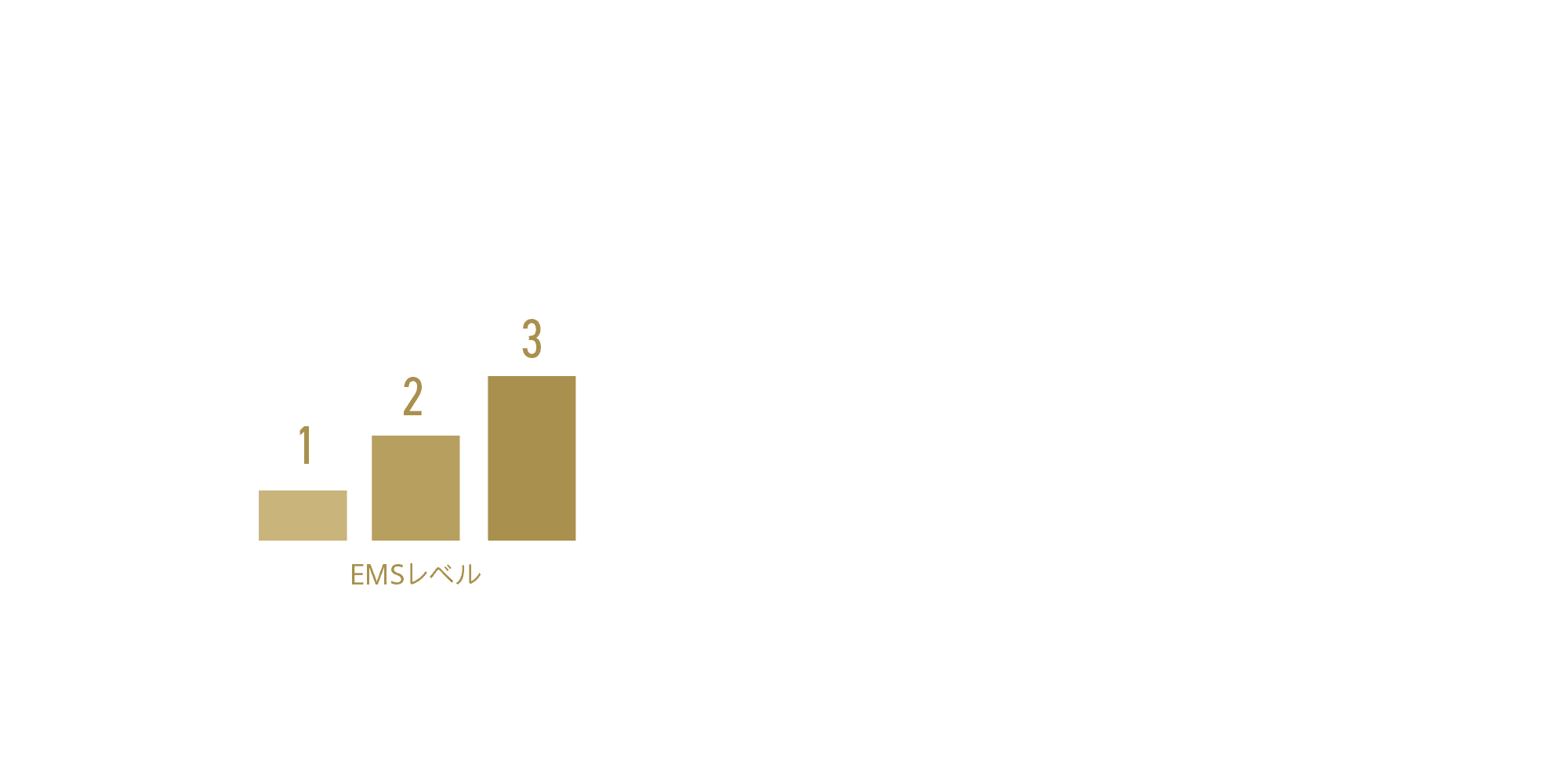 強さは3段階から選択可能 強さは3段階から選べる仕様のため、 EMSが初めての方は1から徐々に強めていくことをオススメします。