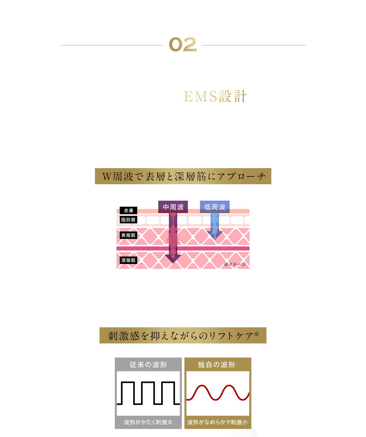 02 効率的な口もとケアを考え抜いこだわりのEMS設計 EMSは外部から電気的刺激を与えることで筋肉を運動させる技術です。 W周波で表層と深層筋にアプローチ ヤーマンだからこその長年の技術を活かし、なめらかなEMS波形の出力を実現。 刺激感を抑えながらのリフトケア※