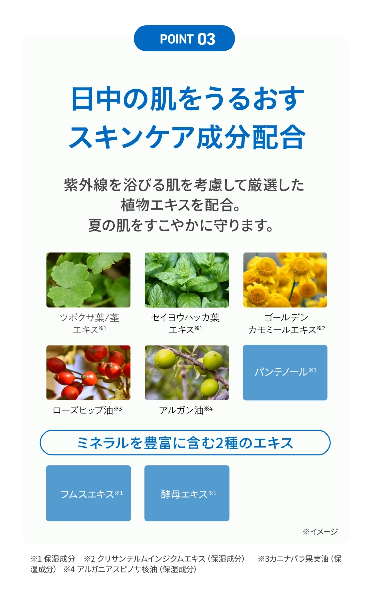 「POINT 03」日中の肌をうるおすスキンケア成分配合｜紫外線を浴びる肌を考慮して厳選した植物エキスを配合。夏の肌をすこやかに守ります。