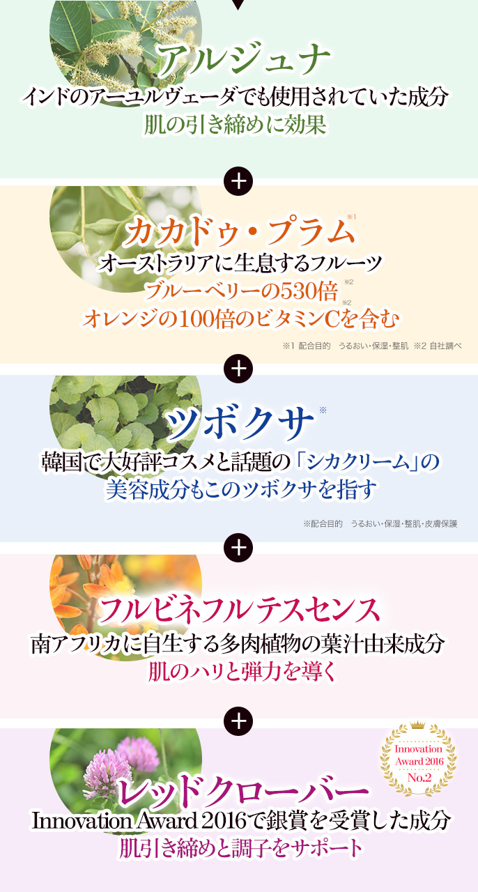 美容成分1