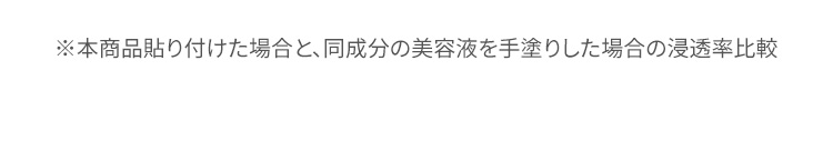 注釈