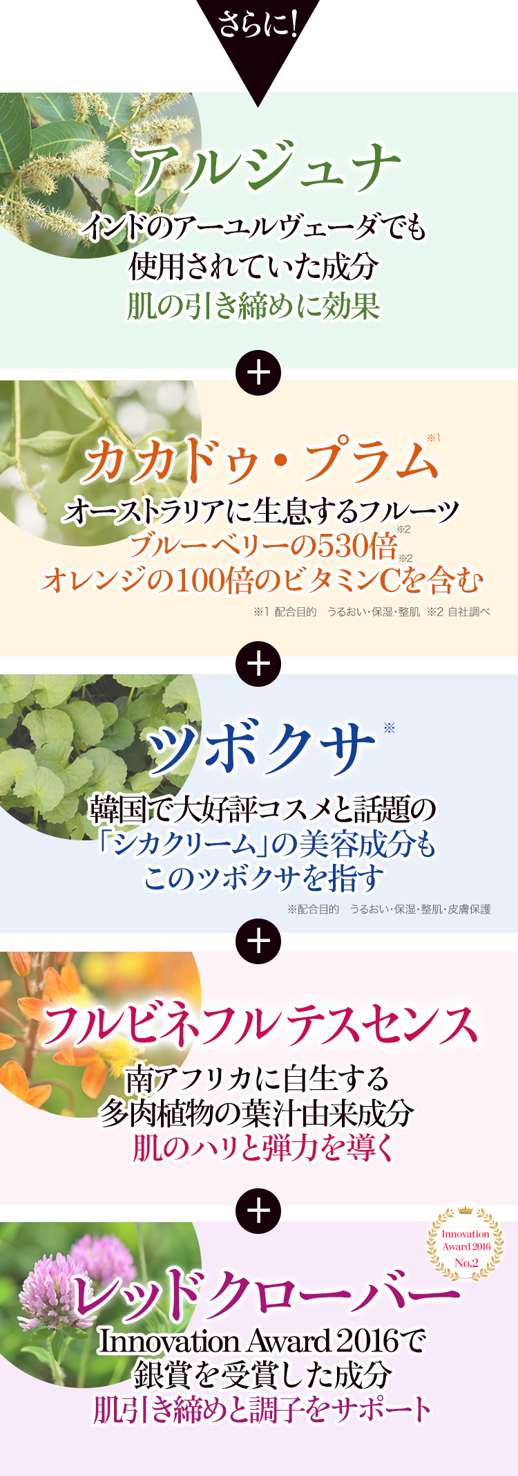 成分詳細