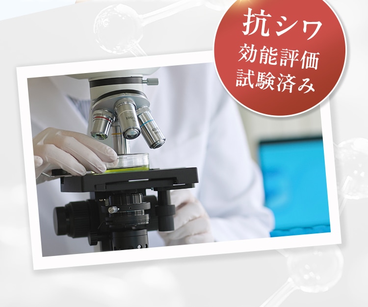 抗シワ効能評価試験済み