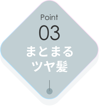 03 まとまるツヤ髪