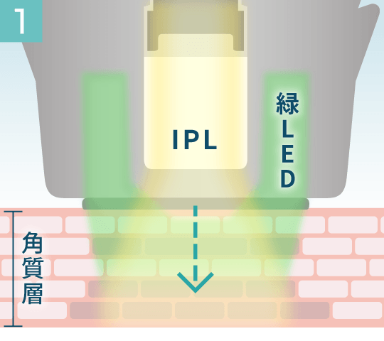 IPL/緑LED照射イメージ